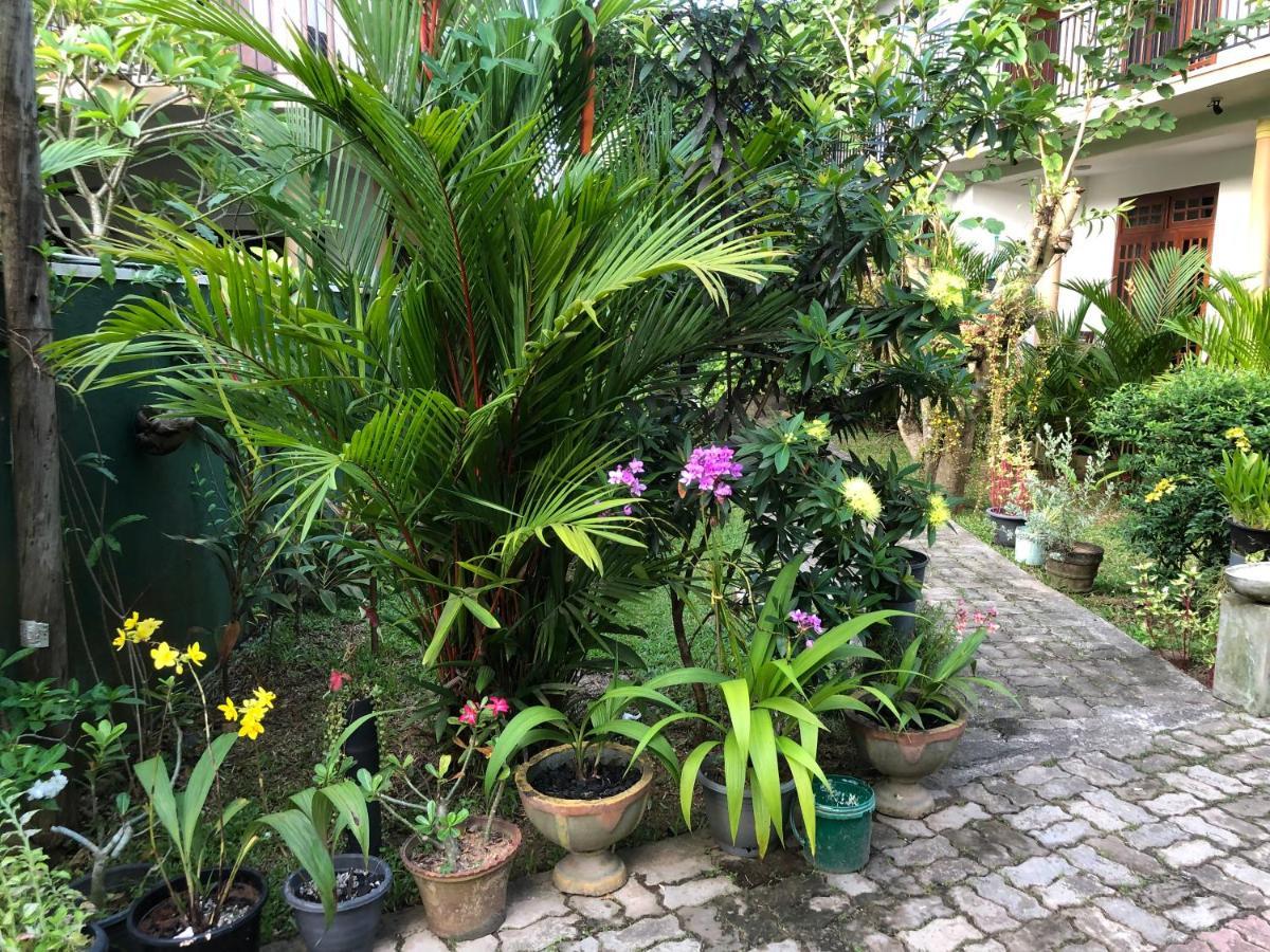 Coral Palm Villa And Apartment อูนาวาตูนา ภายนอก รูปภาพ