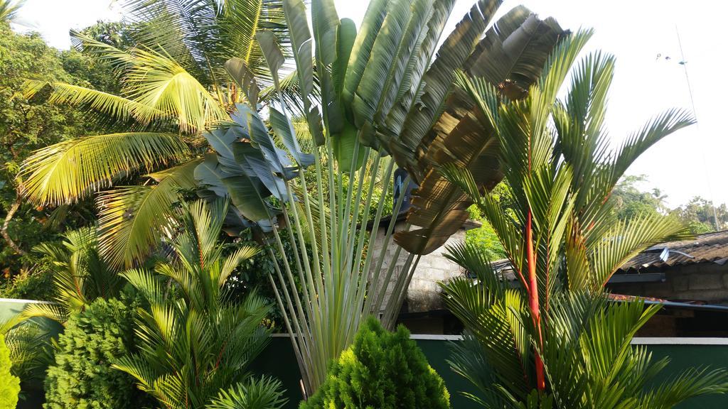 Coral Palm Villa And Apartment อูนาวาตูนา ภายนอก รูปภาพ