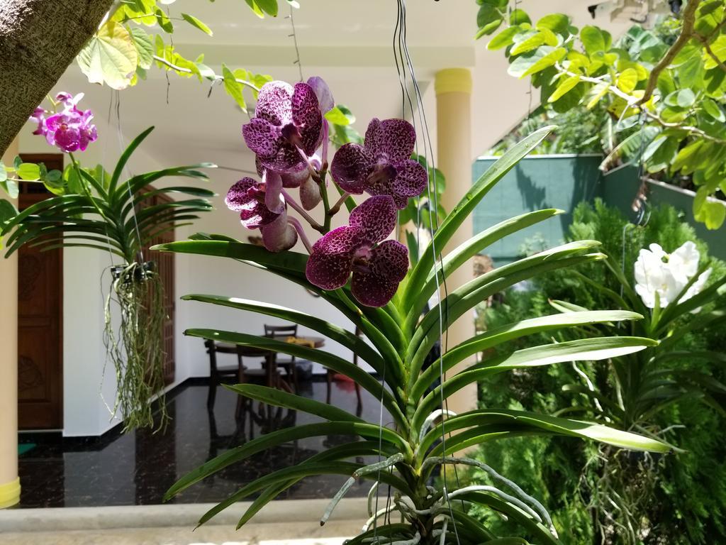 Coral Palm Villa And Apartment อูนาวาตูนา ภายนอก รูปภาพ
